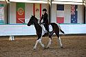 Novice2186