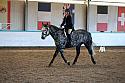 Novice2191