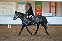 Novice2193