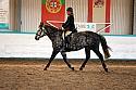 Novice2194