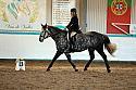 Novice2195