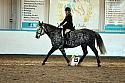 Novice2196