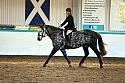 Novice2197