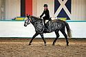Novice2198