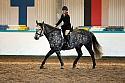 Novice2199