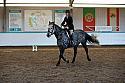 Novice2212