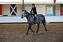 Novice2213