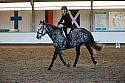 Novice2214