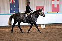 Novice2219