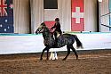 Novice2221