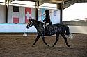 Novice2224