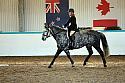 Novice2227