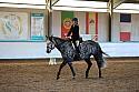 Novice2231