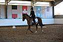 Novice3001
