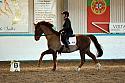 Novice3033