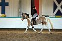 Novice3060