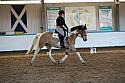 Novice3082
