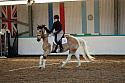 Novice3092