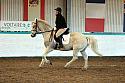 Prelim2014