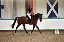 Novice 2
