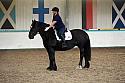 LRCAugNovice2031