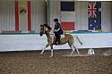LRCAugNovice2081