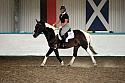 LRCAugNovice2098