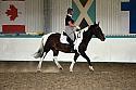 LRCAugNovice2108