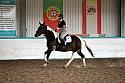 LRCAugNovice2113