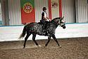 LRCAugNovice2138