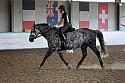 LRCAugNovice2142