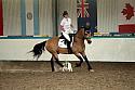 LRCAugNovice2159