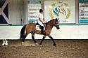 LRCAugNovice2168