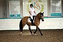 LRCAugNovice2173