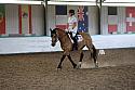 LRCAugNovice2181
