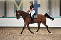 LRCAugNovice2195