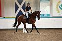 LRCAugNovice2198