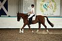 LRCAugNovice2218