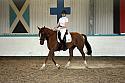LRCAugNovice2221