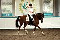 LRCAugNovice2232