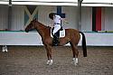 LRCAugNovice2239