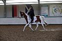 LRCAugNovice2256