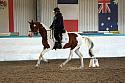 LRCAugNovice2263