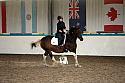 LRCAugNovice2282