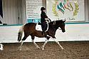 LRCAugNovice2288