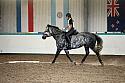 LRCAugNovice3006