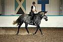 LRCAugNovice3009