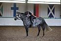 LRCAugNovice3019