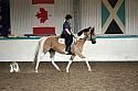 LRCAugNovice3063