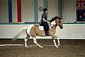 LRCAugNovice3070